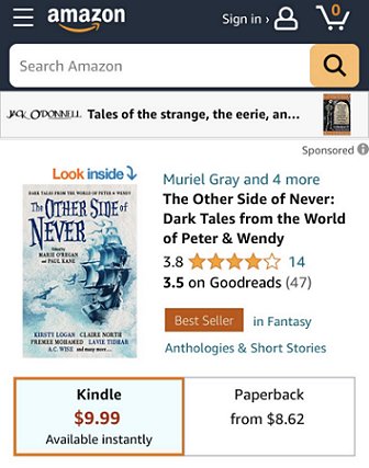 Screenshot of Amazon.com website, showing The Other Side of Never, edited by Marie O'Regan and Paul Kane, as a best seller