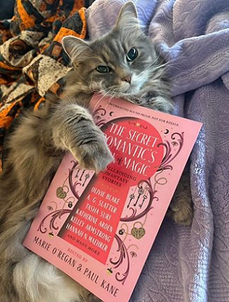 photograph of a grey and white cat lying on a purple cloth, holding a copy of The Secret Romantic's Book of Magic, edited by Marie O'Regan and Paul Kane