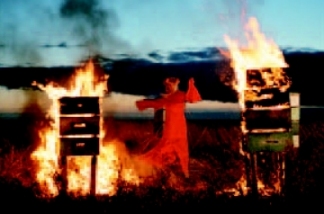 Tideland, Terry Gilliam